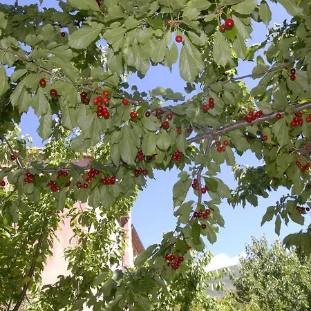 Apartamento Rurales Vergeles Valverde de la Vera