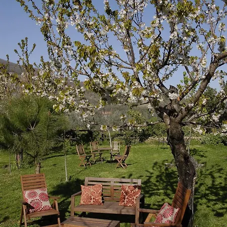Rurales Vergeles